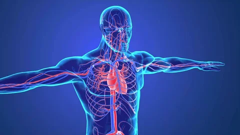 How Chronic Angina Affects Heart Health and Well-being